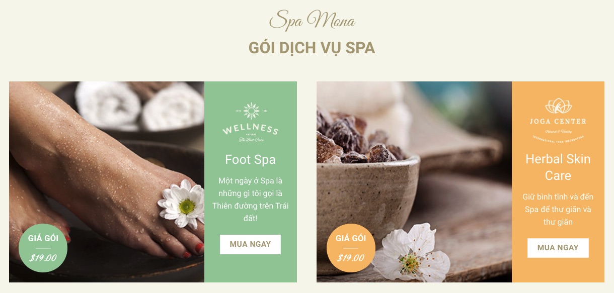 Thiết kế website spa tại Thái Bình